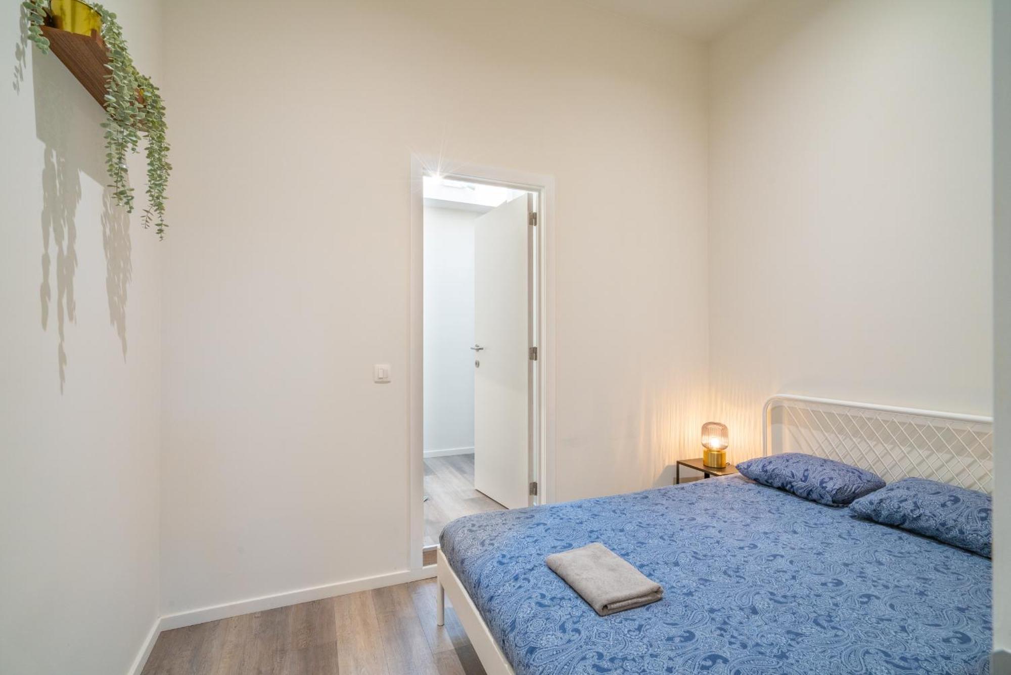 Cozy * Amberes